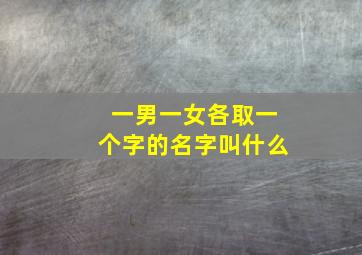 一男一女各取一个字的名字叫什么