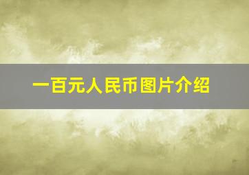 一百元人民币图片介绍