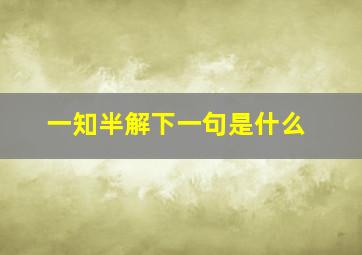 一知半解下一句是什么