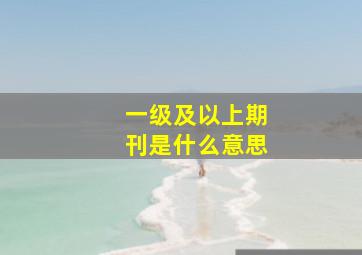 一级及以上期刊是什么意思