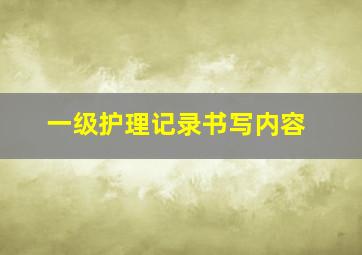 一级护理记录书写内容