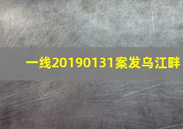 一线20190131案发乌江畔