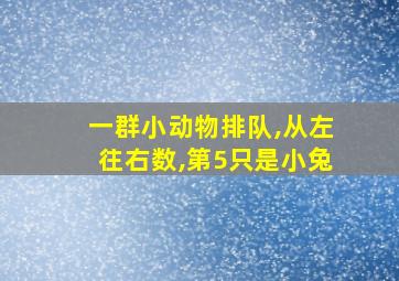 一群小动物排队,从左往右数,第5只是小兔