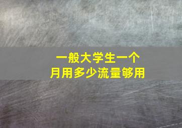 一般大学生一个月用多少流量够用