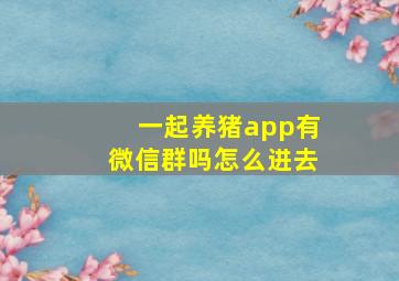 一起养猪app有微信群吗怎么进去