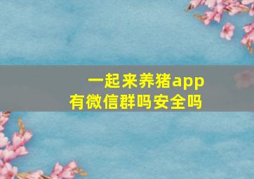 一起来养猪app有微信群吗安全吗