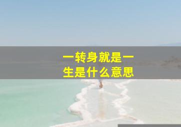 一转身就是一生是什么意思