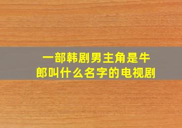 一部韩剧男主角是牛郎叫什么名字的电视剧