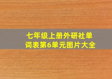 七年级上册外研社单词表第6单元图片大全