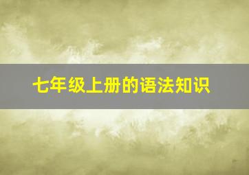 七年级上册的语法知识