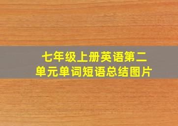 七年级上册英语第二单元单词短语总结图片