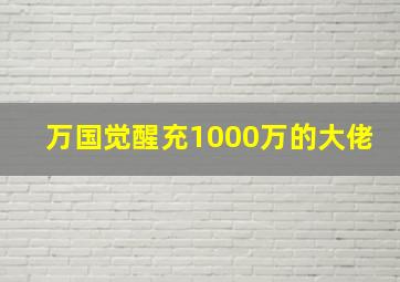 万国觉醒充1000万的大佬