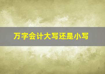 万字会计大写还是小写