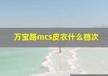 万宝路mcs皮衣什么档次