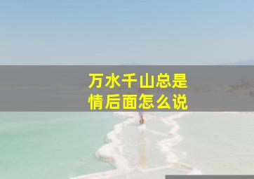 万水千山总是情后面怎么说