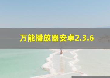 万能播放器安卓2.3.6