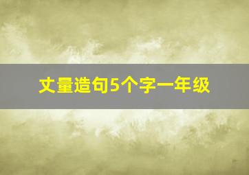 丈量造句5个字一年级