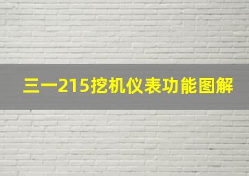 三一215挖机仪表功能图解