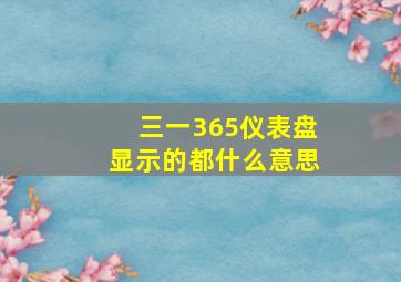 三一365仪表盘显示的都什么意思