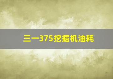 三一375挖掘机油耗