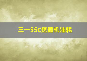 三一55c挖掘机油耗