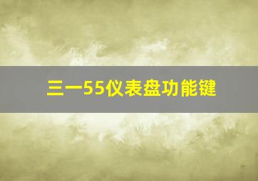 三一55仪表盘功能键