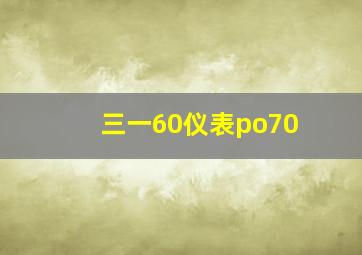 三一60仪表po70