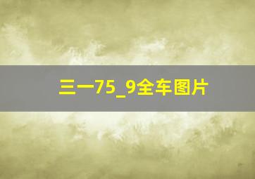 三一75_9全车图片