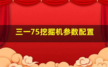 三一75挖掘机参数配置