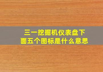 三一挖掘机仪表盘下面五个图标是什么意思