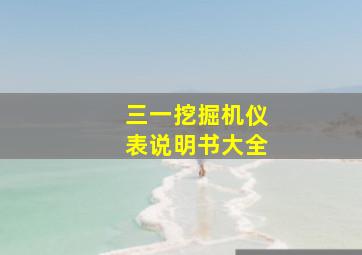 三一挖掘机仪表说明书大全