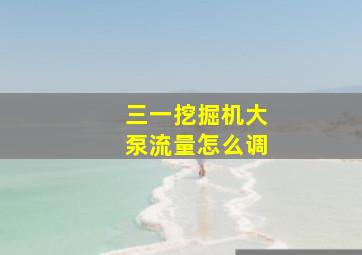 三一挖掘机大泵流量怎么调