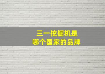 三一挖掘机是哪个国家的品牌