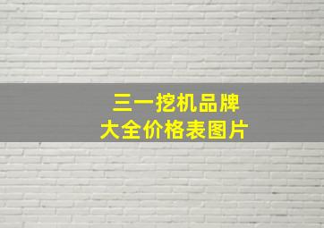 三一挖机品牌大全价格表图片