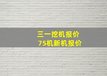 三一挖机报价75机新机报价