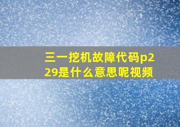 三一挖机故障代码p229是什么意思呢视频