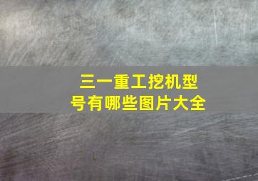 三一重工挖机型号有哪些图片大全