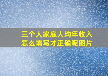 三个人家庭人均年收入怎么填写才正确呢图片