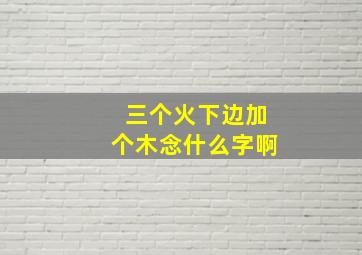 三个火下边加个木念什么字啊