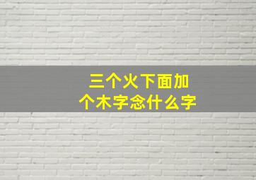 三个火下面加个木字念什么字