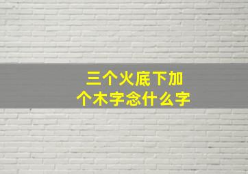 三个火底下加个木字念什么字