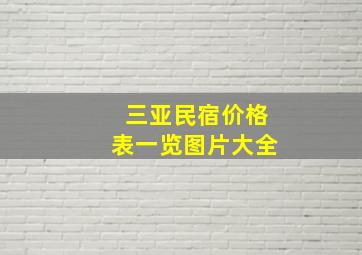 三亚民宿价格表一览图片大全