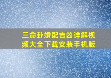 三命卦婚配吉凶详解视频大全下载安装手机版