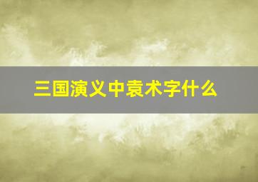 三国演义中袁术字什么