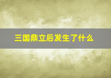 三国鼎立后发生了什么