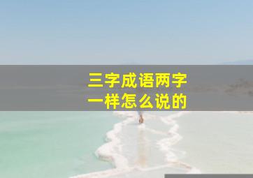 三字成语两字一样怎么说的