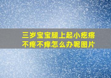 三岁宝宝腿上起小疙瘩不疼不痒怎么办呢图片