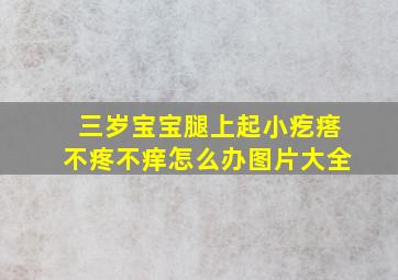 三岁宝宝腿上起小疙瘩不疼不痒怎么办图片大全