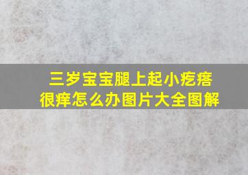 三岁宝宝腿上起小疙瘩很痒怎么办图片大全图解