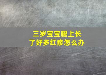 三岁宝宝腿上长了好多红疹怎么办